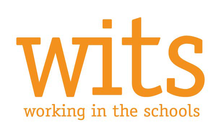 Working In The Schools