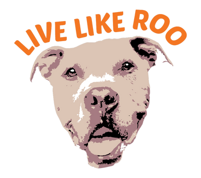 Live Like Roo Foundation