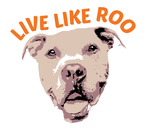 Live Like Roo Foundation