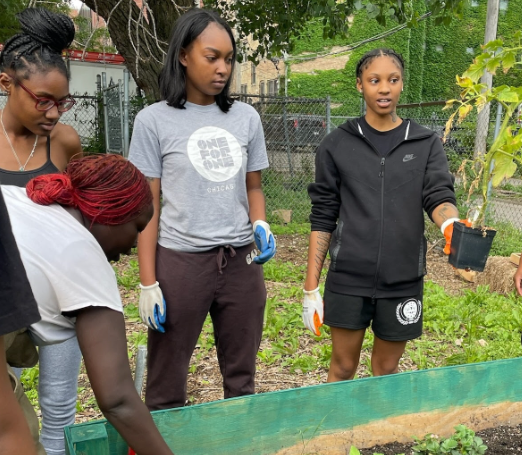 Nonprofit Partner Newsletter (September 2025)