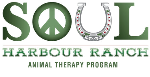SOUL Harbour Ranch Animal Therapy Program